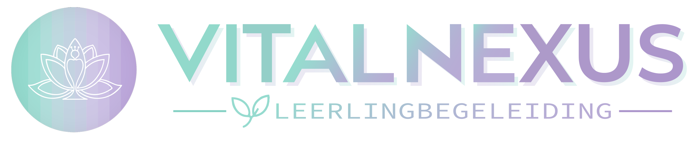 Vital Nexus Leerlingbegeleiding